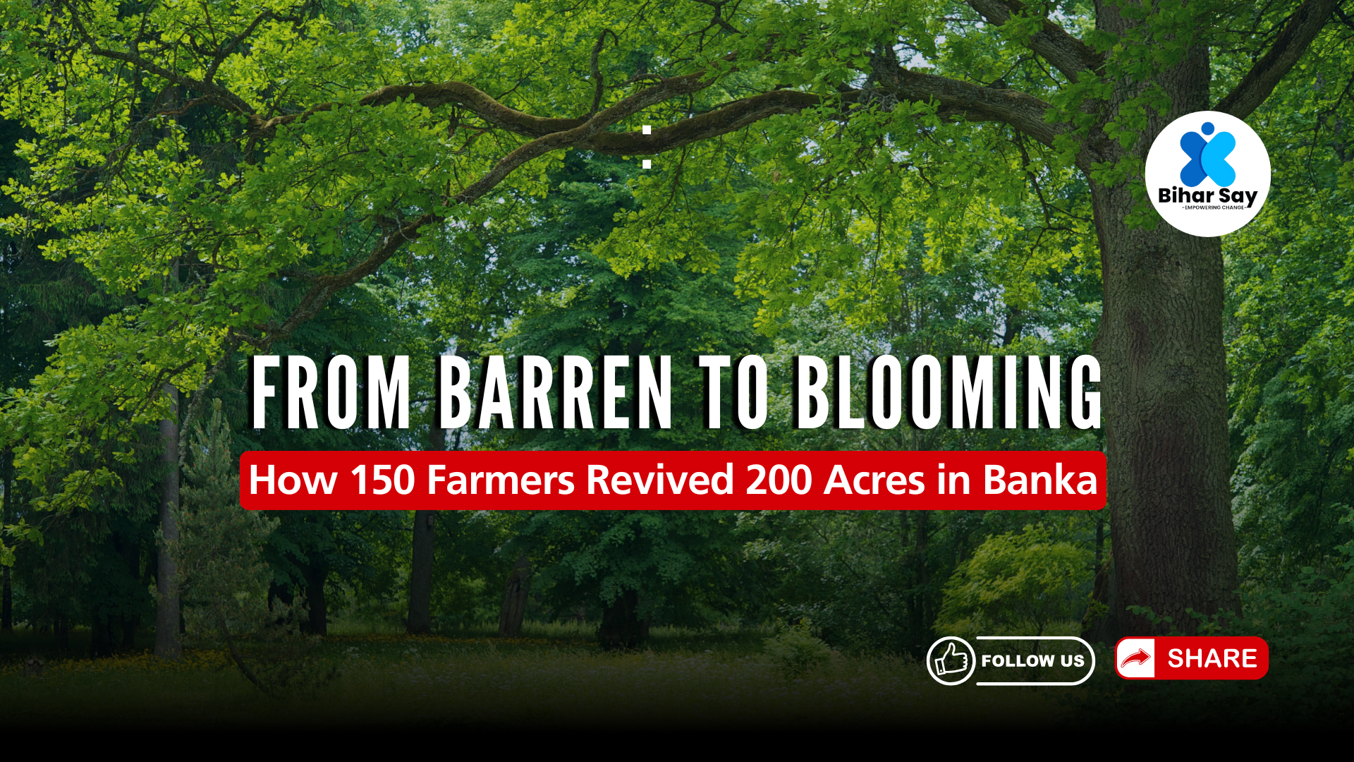 From Barren to Blooming: How 150 Farmers Revived 200 Acres in Banka